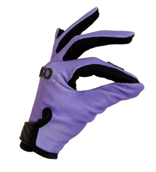 Nologo Gloves Purple