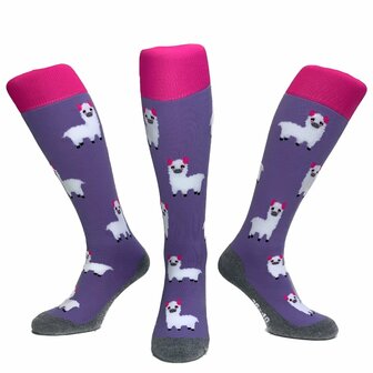 Hingly Socks Alpaca
