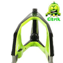ICE Raptor Carbon Frame Citrik - Black/ Lime 