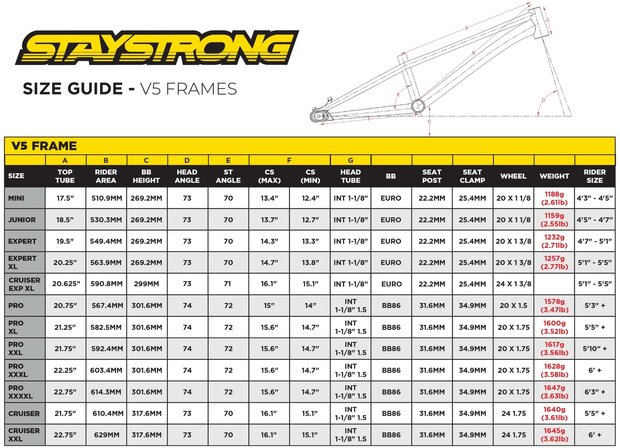Stay Strong V5 Disc Only Frame 2024 Charcoal/Mint
