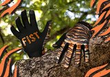 FIST Tiger Glove BMX World
